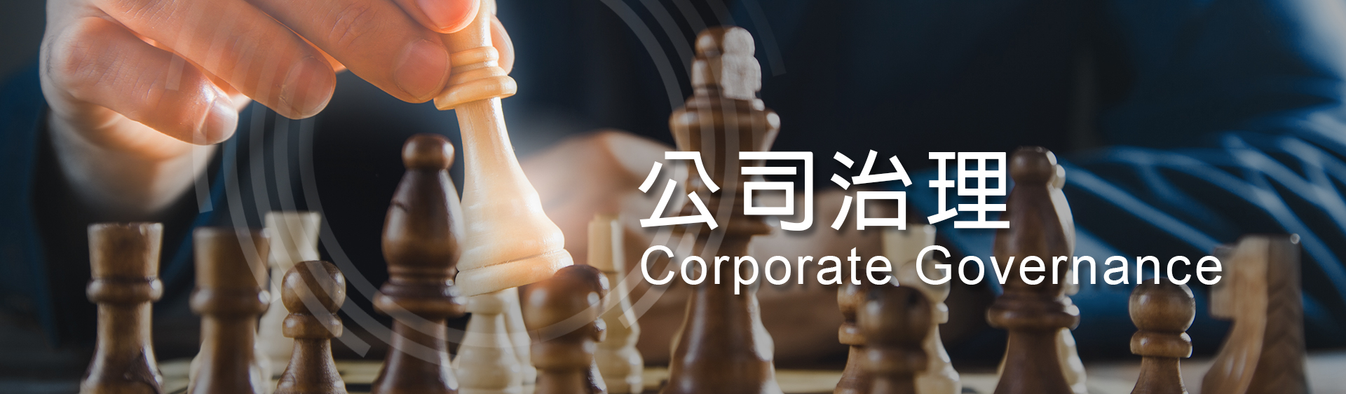 公司治理