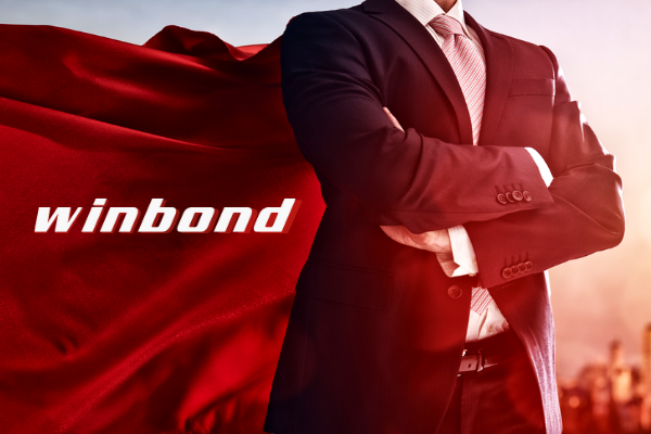 A prominent leader in the semiconductor memory technology segment: Winbond